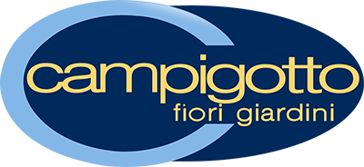 Campigotto fiori giardini progettazione manutenzione giardini vendita piante e fiori