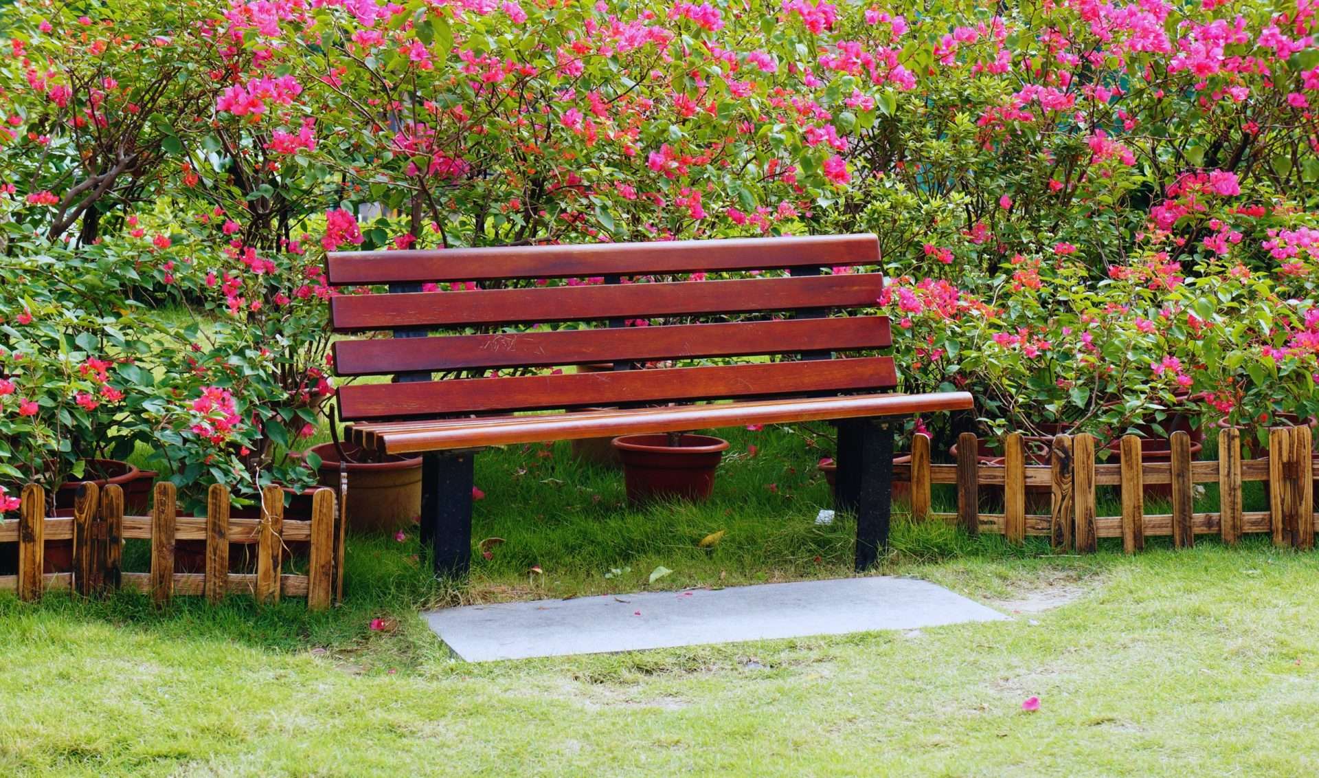 Progettazione di giardini che raccontano storie
