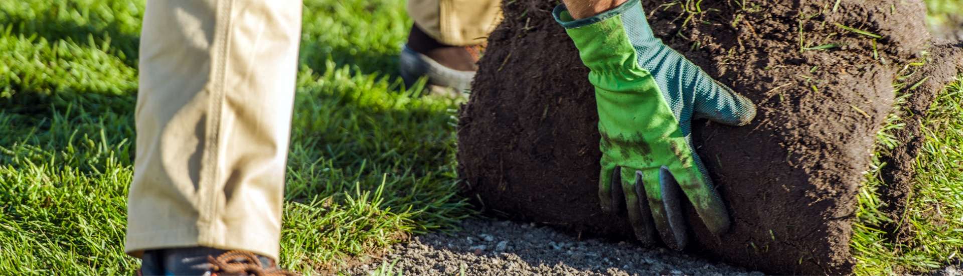 Servizi per giardini e spazi verdi Campigotto fiori e giardini progettazione giardini vendita piante e fiori Preganziol Treviso Venezia Padova Belluno Verona Vicenza Trieste