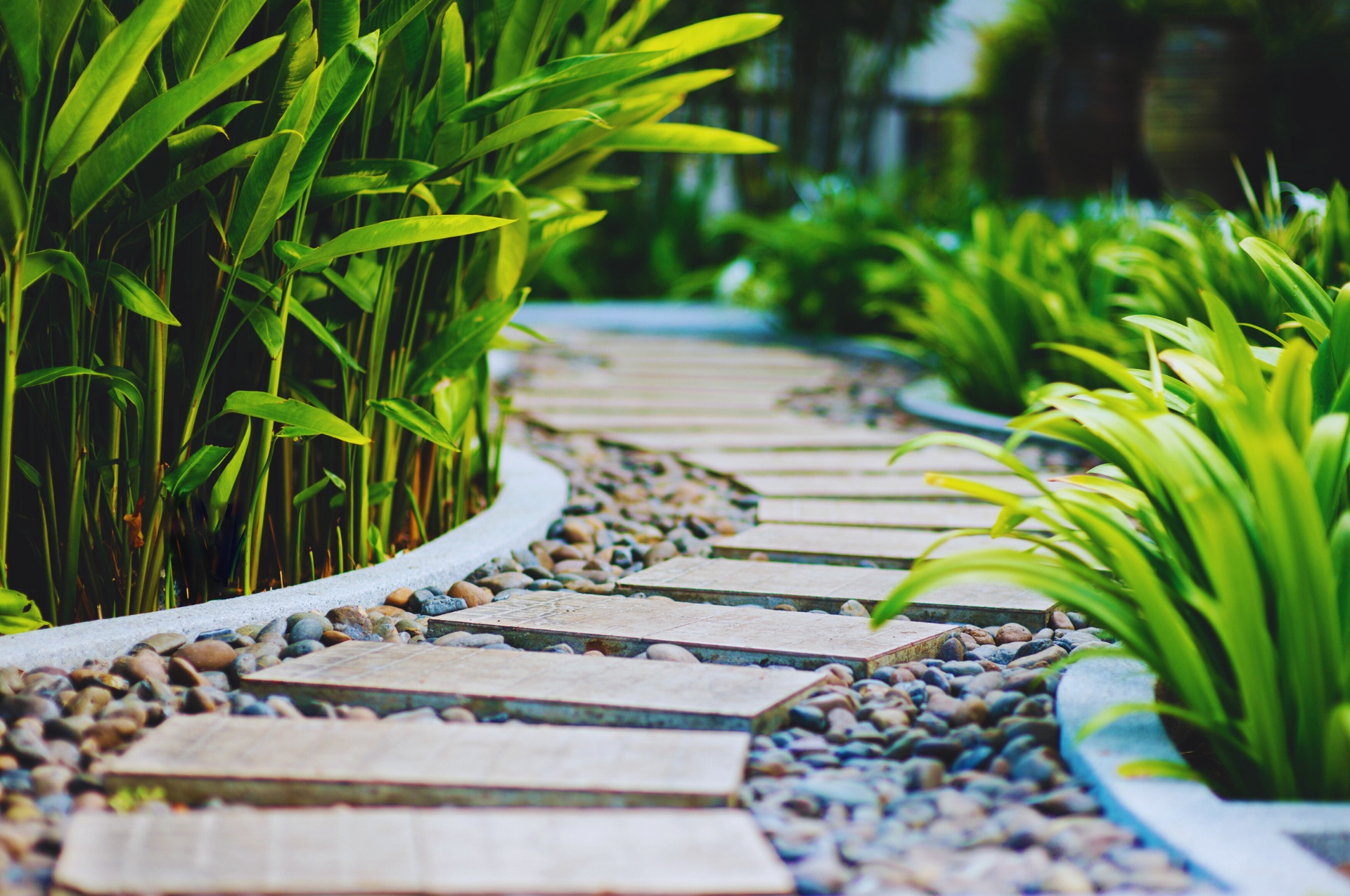 Campigotto fiori e giardini progettazione giardini vendita piante e fiori Preganziol Treviso Venezia Padova Belluno Verona Vicenza Trieste Udine
