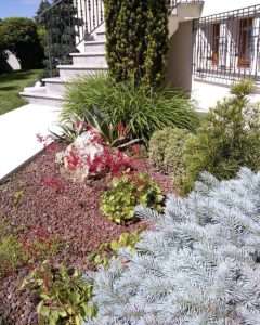 Gallery Campigotto fiori giardini progettazione giardini Preganziol Treviso Belluno
