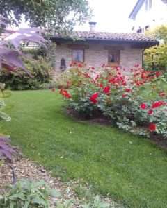 Gallery Campigotto fiori giardini progettazione giardini Preganziol Treviso Venezia