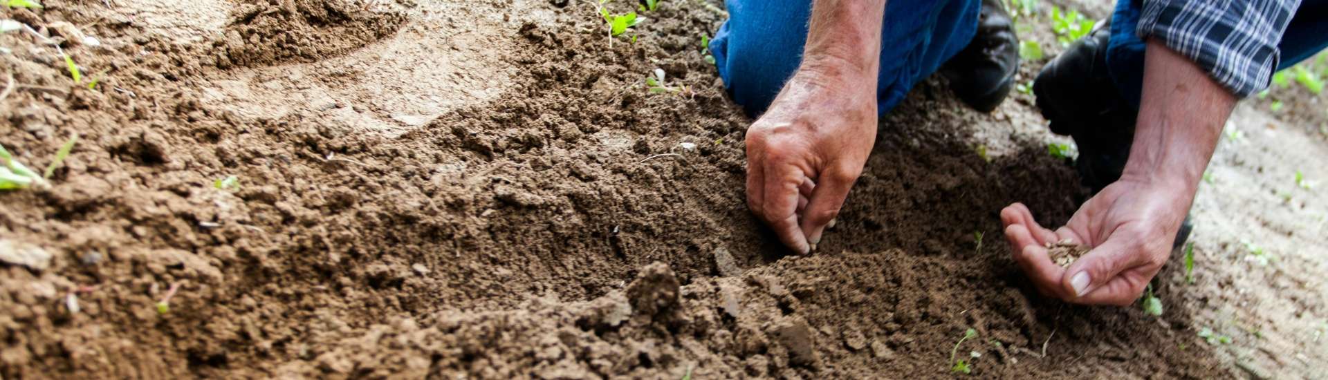 Il nostro team Campigotto fiori e giardini progettazione giardini vendita piante e fiori Preganziol Treviso Venezia Padova Belluno Verona Vicenza Trieste