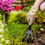 Blog semina primaverile a maggio per un'estate di colori Campigotto fiori e giardini progettazione giardini vendita piante e fiori Preganziol Treviso