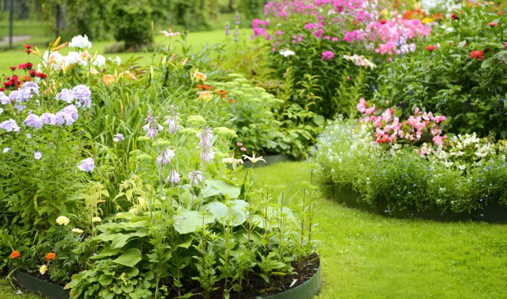 Bordura mista diverse altezze fioriture scalari progettazione giardini Veneto Campigotto progettazione giardini vendita piante Preganziol Treviso
